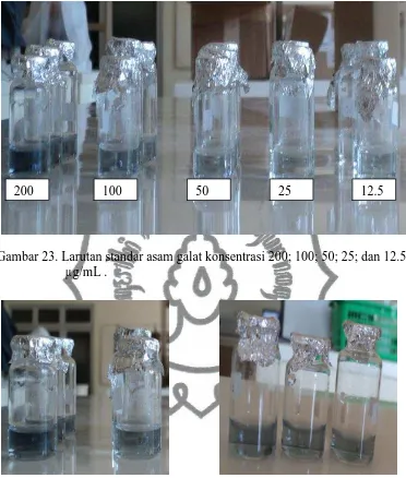 Gambar 23. Larutan standar asam galat konsentrasi 200; 100; 50; 25; dan 12.5 µg/mL . 