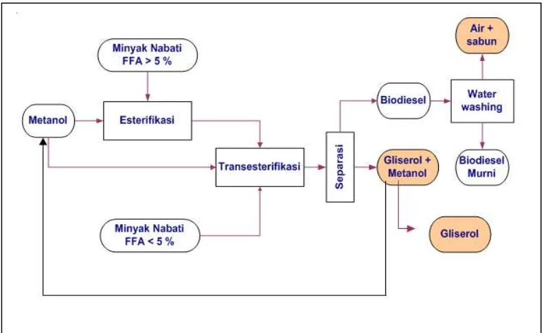 Gambar 2. Diagram proses produksi biodiesel (Anonim, 2009) 