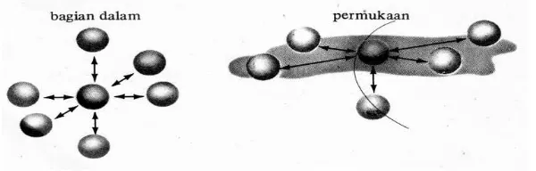 Gambar 4. Gaya-gaya intermolekul dalam cairan 