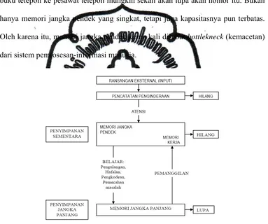 Gambar 2.1  Model Pemrosesan Informasi 