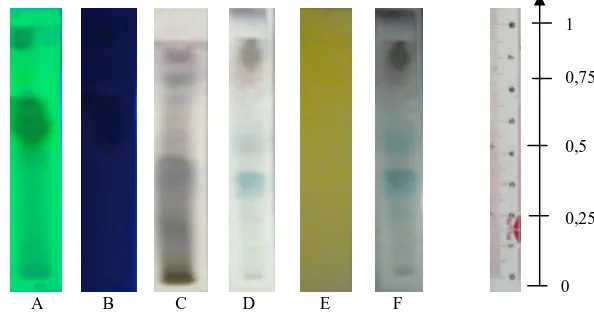 Gambar 3. Profil kromatogram fraksi IV hasil fraksinasi dari partisi larut wash-benzena   ekstrak kloroform daun Ambre dengan berbagai pereaksi penampak bercak
