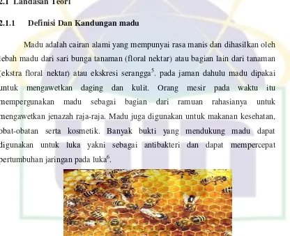 Gambar 2.1: Lebah Dan Sarang Madu (http://yoshsolo.com) 