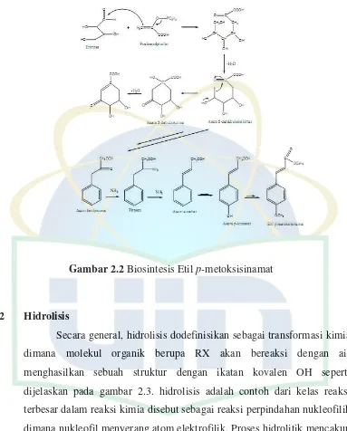 Gambar 2.2 Biosintesis Etil p-metoksisinamat 