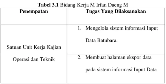 Tabel 3.1 Bidang Kerja M Irfan Daeng M 