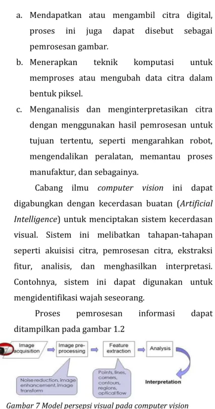 Gambar 7 Model persepsi visual pada computer vision 
