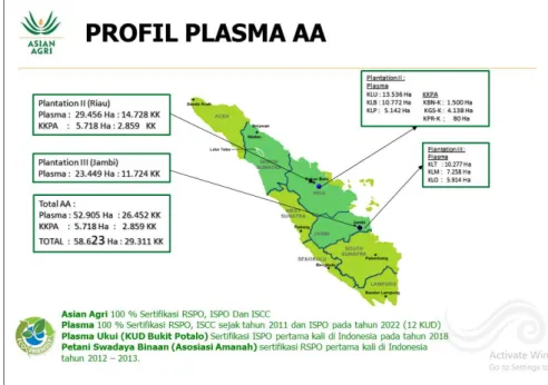 PT. Inti Indosawit Subur Buatan Plasma Plantations Asian Agri Group ...