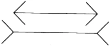 Figure 3.2 The Mu¨ller-Lyer illusion