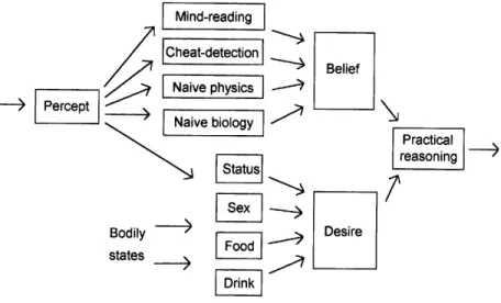 Figure 3.3 Modular central-systems and folk-psychological states conceptualised outputs of the perceptual systems; and some of which generate desires (more on the latter in a moment)