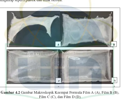 Gambar 4.2 Gambar Makroskopik Keempat Formula Film A (A), Film B (B), 