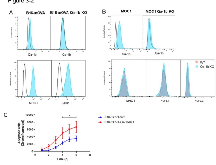 Figure 3- 2: MOC1 and B16-mOVA Qa-1b KO cells have a normal expression of MHCI, PD-L1, and  increased susceptibility to NK cell-mediated killing