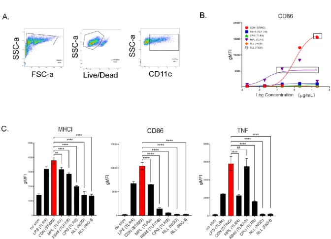 Figure  2-1:  A)  Gating  strategy  for  murine  bone-marrow-derived  dendritic  cells  (BMDCs)  B)  Dose-response  to  identify  saturating  dose  for  CD86  signal  (geometric  mean  fluorescence  intensity,  gMFI)  for  STING  (CDN),  TLRs  (CpG,  MPL-A
