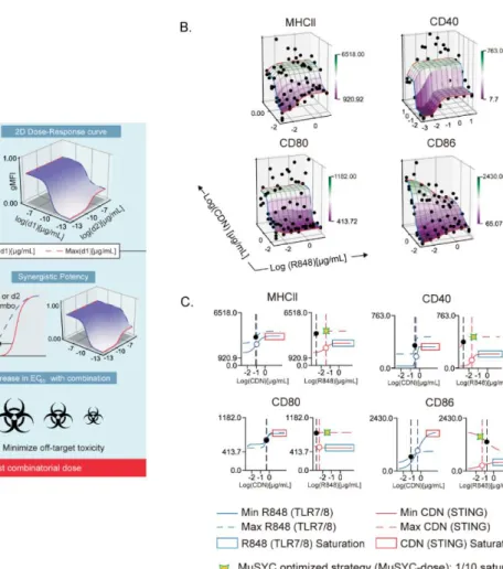 Figure 2- 4: The  combination of CDN and R848 is synergistically efficacious and potent 