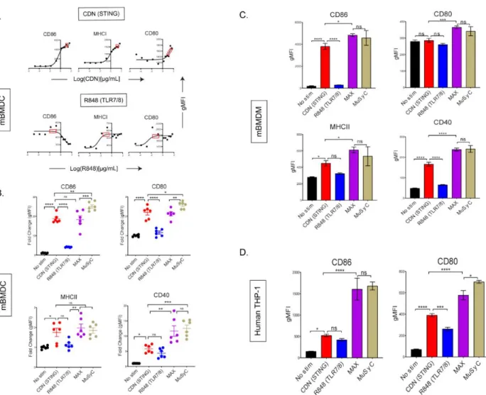 Figure 2- 5: MuSyC-dose can optimize activation for multiple APCs in vitro. 
