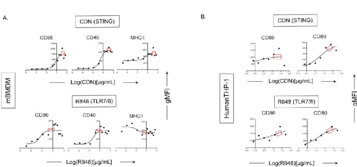 Figure  2-6:  A)  Corresponding  dose-response  curves  for  CDN  (STING)  and  R848  (TLR7/8)  for the activation of mBMDM with saturation range in the red box