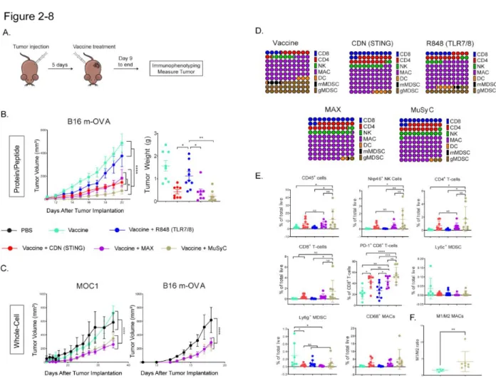 Figure 2- 8: MuSyC dosing optimizes the antitumor response in vivo through modulating the tumor  microenvironment