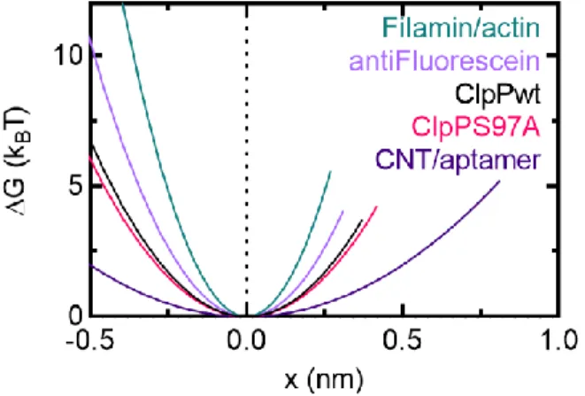 Figure  3.7  Free  energy  diagram  of  the  ClpP-substrate  interactions.  Free  energy  diagrams  were  constructed according to the Dudko-Hummer-Szabo model (Dudko et al., 2006) assuming a cusp shape  (v=1/2)