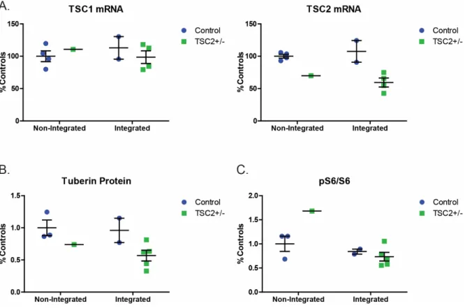 Figure 3.1. Heterozygous nonsense mutations in TSC2 result in reduced TSC2 mRNA and tuberin  protein levels in plasmid-reprogrammed iPSCs