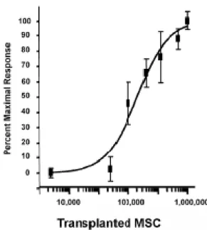Figure 3.  Dose-dependent homing of transplanted MSC in response to tibia fracture. 