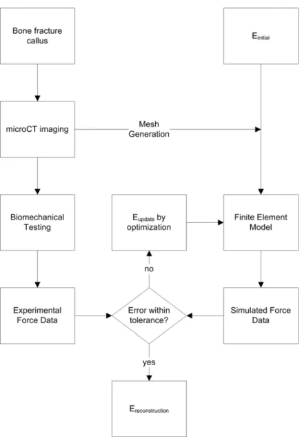 Figure 8.  General framework of the inverse material property reconstruction method. 