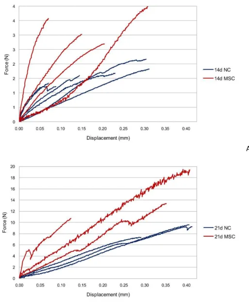 Figure 22.  BMT force vs. displacement plot for (A) 14d NC and 14d MSC, (B) 21d NC  and 21d MSC