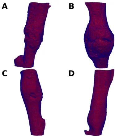 Figure 24.  FEA Meshes for (A) 14d NC, (B) 14d MSC, (C) 21d NC, and (D) 21d MSC. 