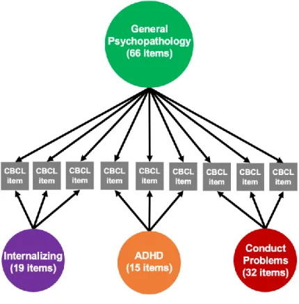 Figure 1. Bifactor analyses delineate general and specific factors. A confirmatory bifactor  model of the CBCL data defined four orthogonal psychopathology factors: general 