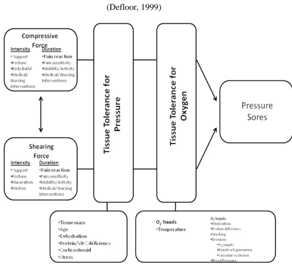 Figure 2. 2. Defloor’s Conceptual Scheme Depicting Risk Factors in the Etiology of  Pressure Sores