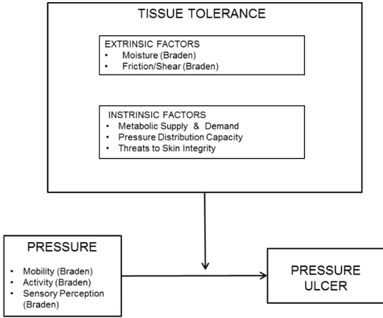 Figure 2. 3. Conceptual Model for Pressure Ulcer Etiology in Critically Ill Patients  (Benoit &amp; Mion, 2012) 