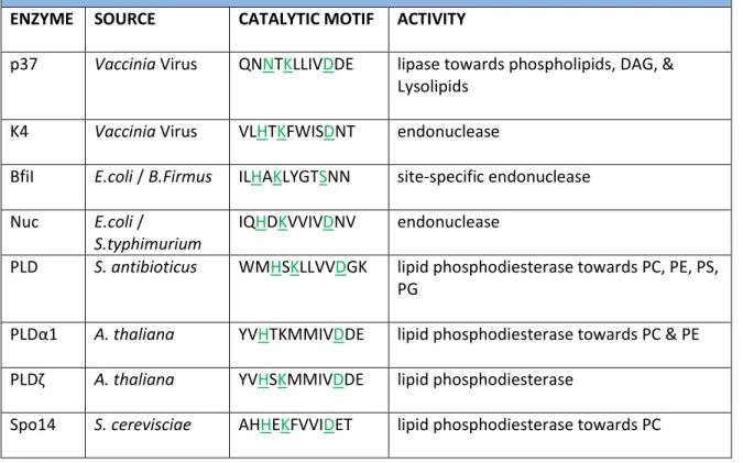 Table 2.  Alignment of Catalytic motifs for PLD superfamily (table from [19])  ENZYME  SOURCE  CATALYTIC MOTIF  ACTIVITY 