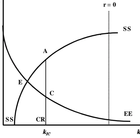 Figure 4: Nondegenerate Steady-State Equilibrium With Credit Rationing Under the Alternative Setup