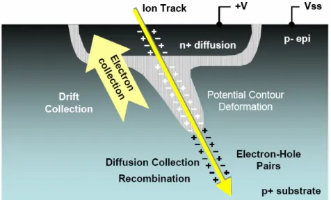 Fig. 2.3:  Illustration showing the different charge collection mechanisms during a single  event [Baum-05] 