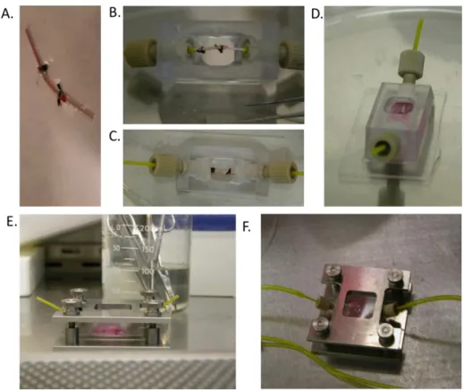 Figure C.5.Major steps of  that assembly of the PVEB: 