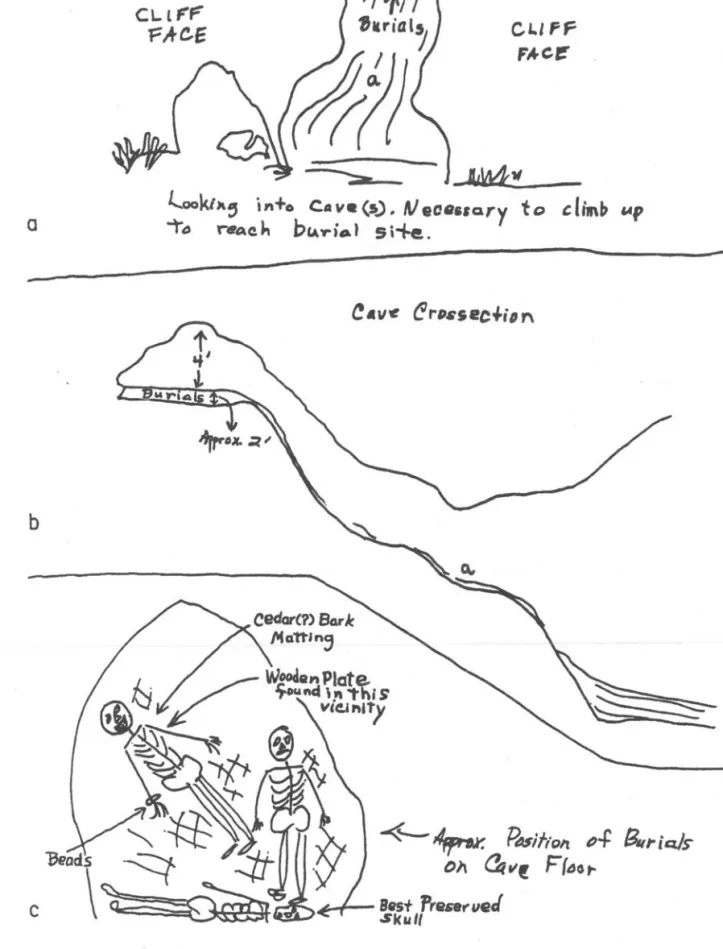 Fig.  2.  Students'  sketches,  made  from  memory  several  weeks  after  the  excavation:  a,  the  position  of the  two  cave  openings  in  the  cliff  face;  b,  the  cross-section  of the  burial  chamber;  c,  the  approximate  placements  of  thre