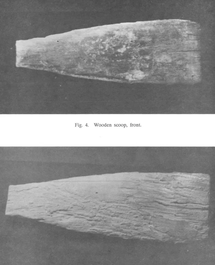 Fig.  5.  Wooden  scoop,  back. 