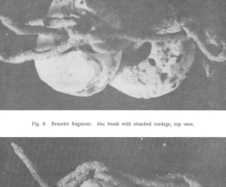 Fig.  8.  Bracelet  fragment:  disc  beads  with  attached  cordage,  top  view. 