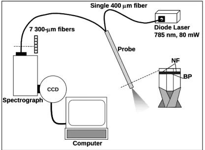 Figure  3.1: Diagram of Raman spectroscopy system used for data collection. 