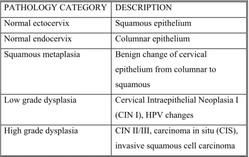 Table 3.1: Description of the Pathology Categories Used to Group Spectra 