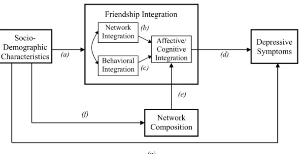 Figure 1.1.  A Conceptual Model of Friendship Integration and Mental Health 