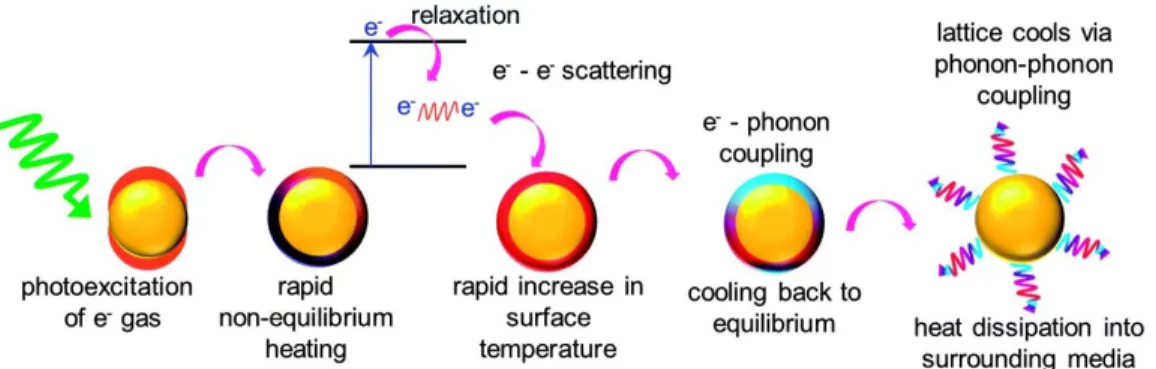 Figure 1.1. Light to heat conversation mechanisms of plasmonic nanoparticles. 
