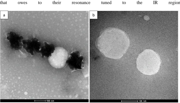 Figure 3.4. (a) TEM image of LipoAu synthesized using ascorbic acid, and bare liposome (second  entity from right), (b) TEM image of bare liposome with methylamine tungstate as negative stain