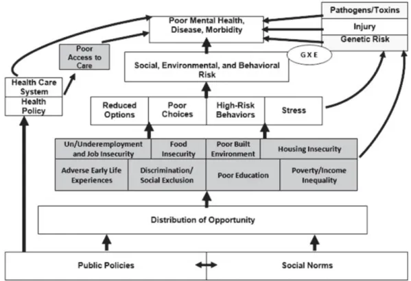 Figure 1 - The Social Determinants of Mental Health Framework