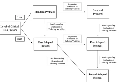 Figure 1. Schematic overview of an adaptive process to intensifying behavioral interventions  (adapted with permission from Lewis & Wehby, 2017)