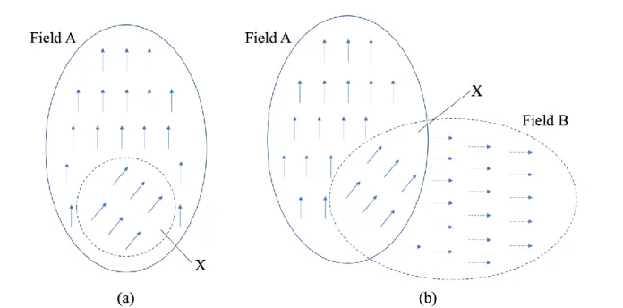Figure 1.2(b) likewise depicts a field that is multilevel, though it departs from a  conventional “nested” structure