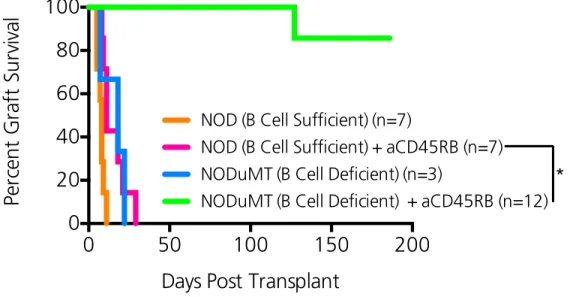 Figure  2.1.  B  cell  deficient  NOD  mice  are  permissive  to  transplant  tolerance  induction