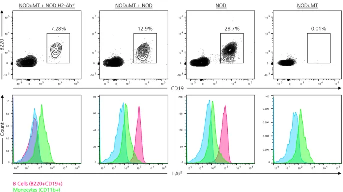 Figure  2.9.  Generation  of  chimeric  NOD  mice  in  which  only  B  lymphocytes  lack  MHC  Class  II  expression