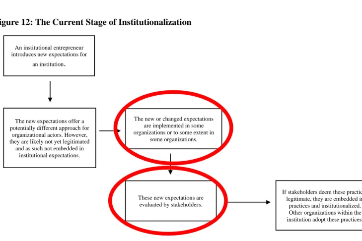Figure 12: The Current Stage of Institutionalization 