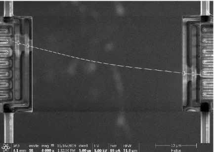Figure 2.4 SEM micrograph of an individual silver nanowire bridging two suspended membranes  with a 36 μm gap distance