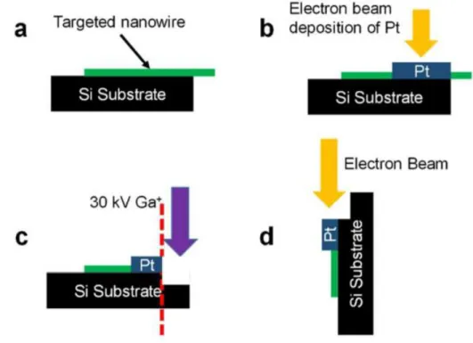 Figure 3.1 Cross-section examination (Zhang et al. 2018). (a) An individual nanowire was placed  on the edge of a silicon piece that has the edges well cut