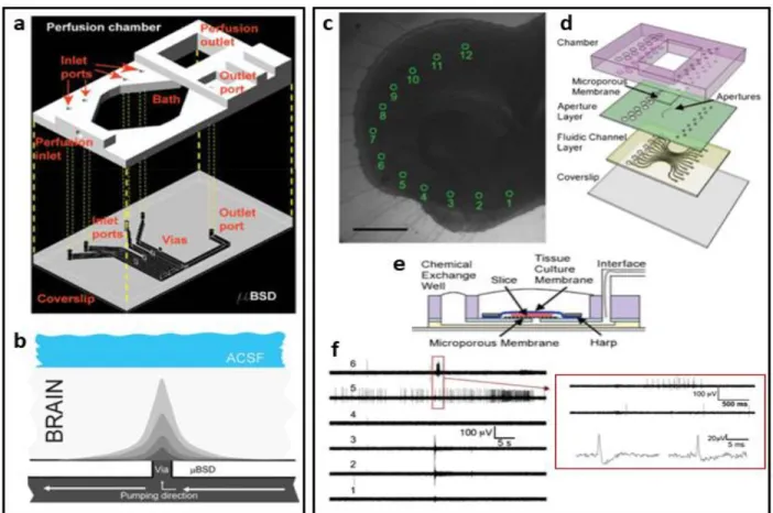 Figure 1.2 Microfluidic Platforms for Tissue Culture - 2. a-b. Microfluidic add-on for the standard  electrophysiology chamber setup