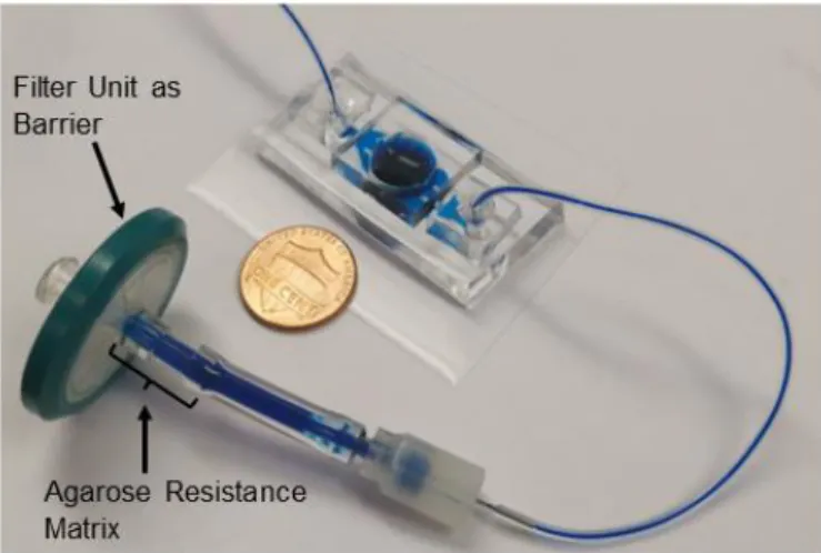 Figure  2.2  shows  the  fully  assembled  microfluidic  device  filled  with  blue  color  dye